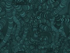 Spirals 1