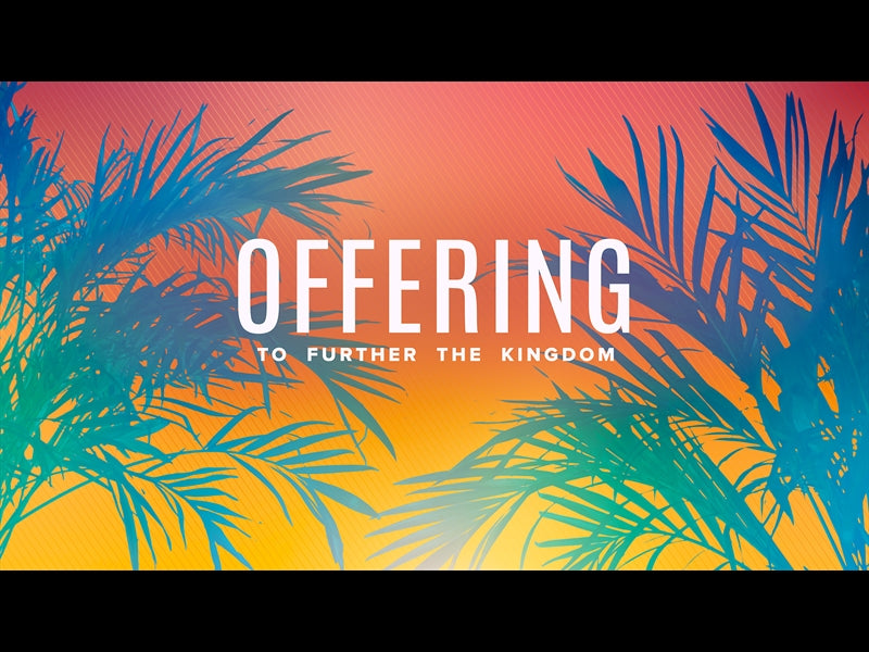 Sun Palms Offering
