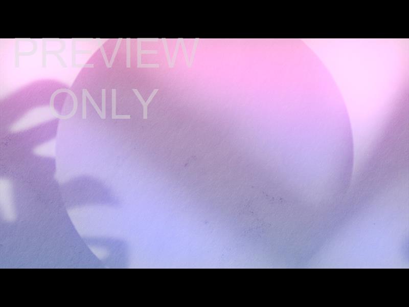 Passion Fruit Still 05