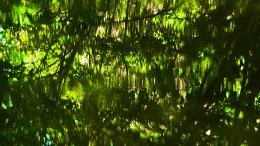 Living Waters 03