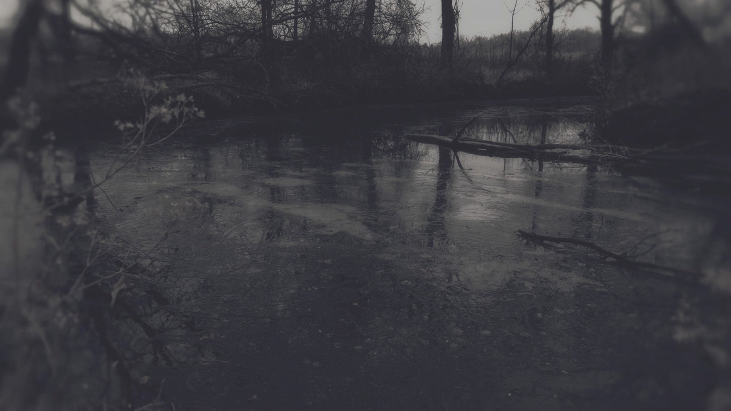 Bleak Beauty Frozen Fade