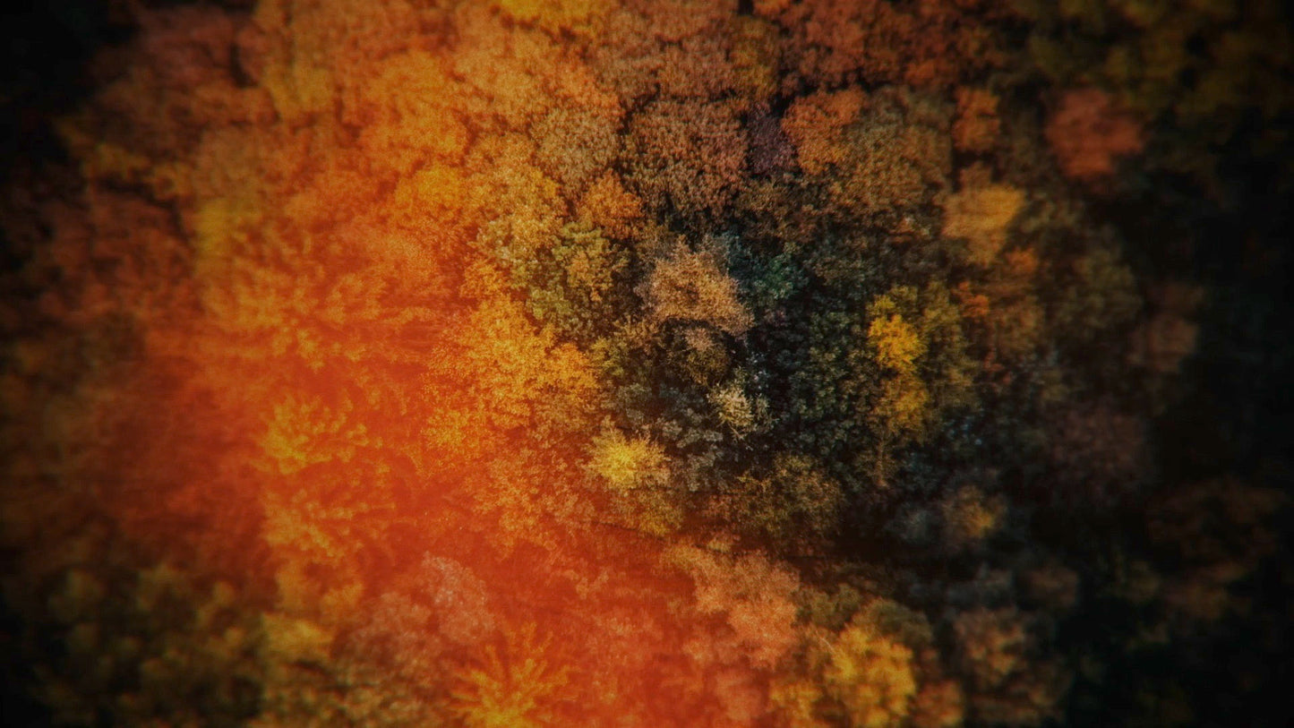 Aerial Journey 2 Still