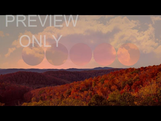Wilderness Fall 10 Remix Still