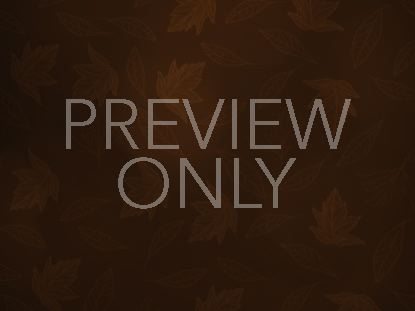 Orange Fall Still 2