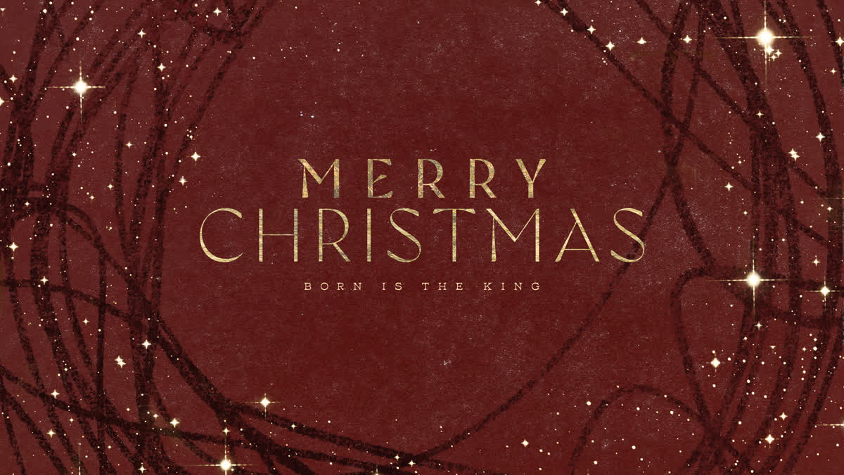 Starlight Scribbles Merry Christmas