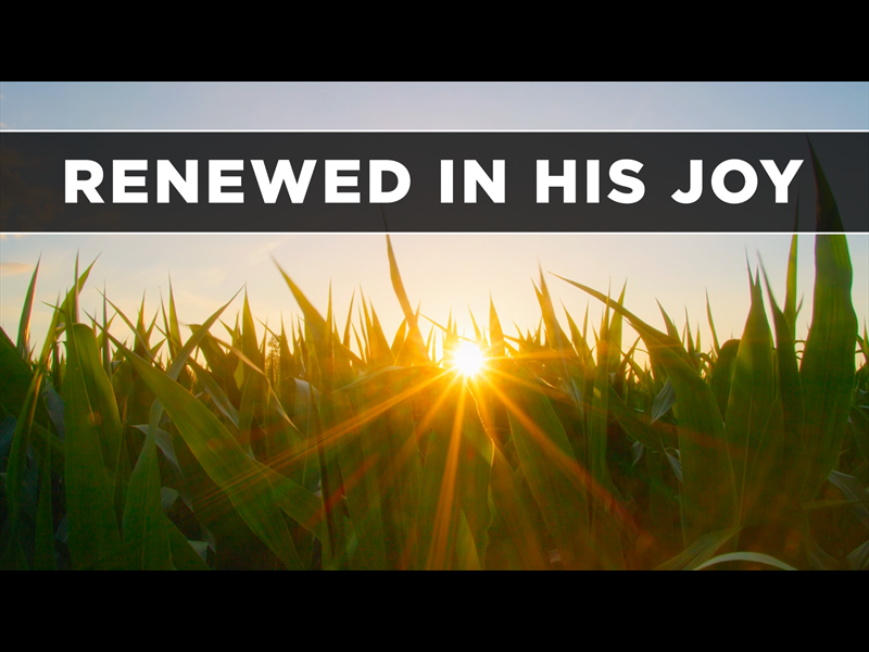 Renewed In His Joy