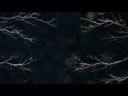 Christmas Wintertide 14