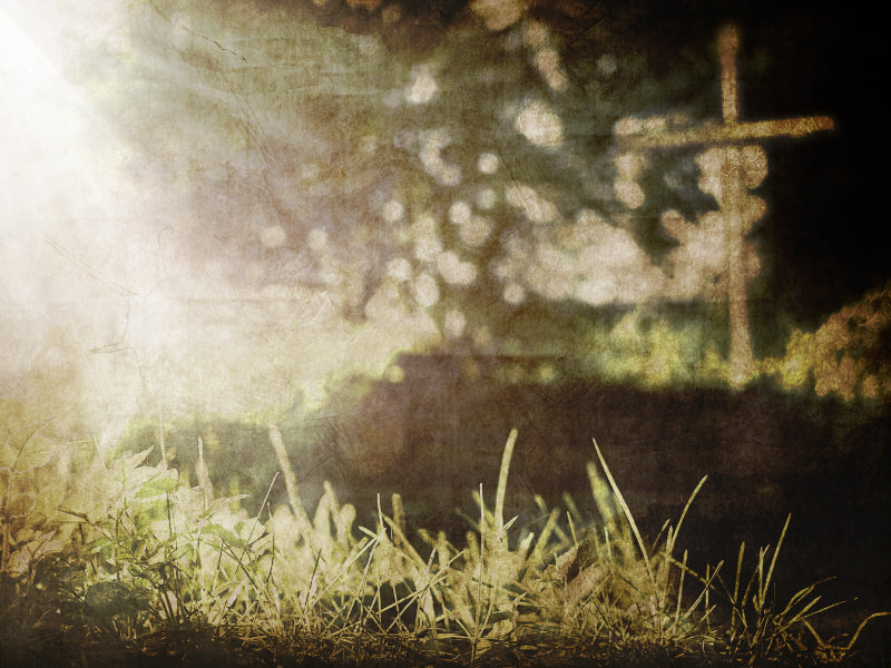 Across The Path 2 Motion