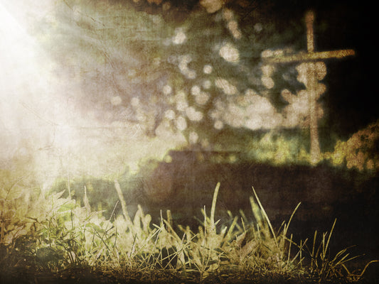 Across The Path 2 Motion