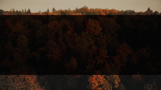 Autumn Foliage 1 Alt