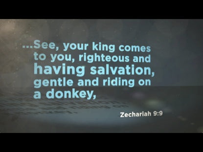 The Story Of Palm Sunday