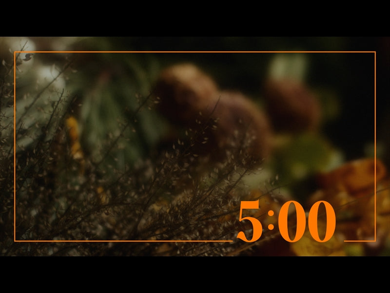 Flora Fall Countdown 03