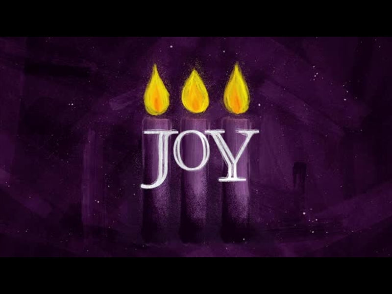 Jeweled Brush Advent - Joy