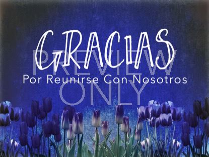 Mothers Day Tulips Closing Still -