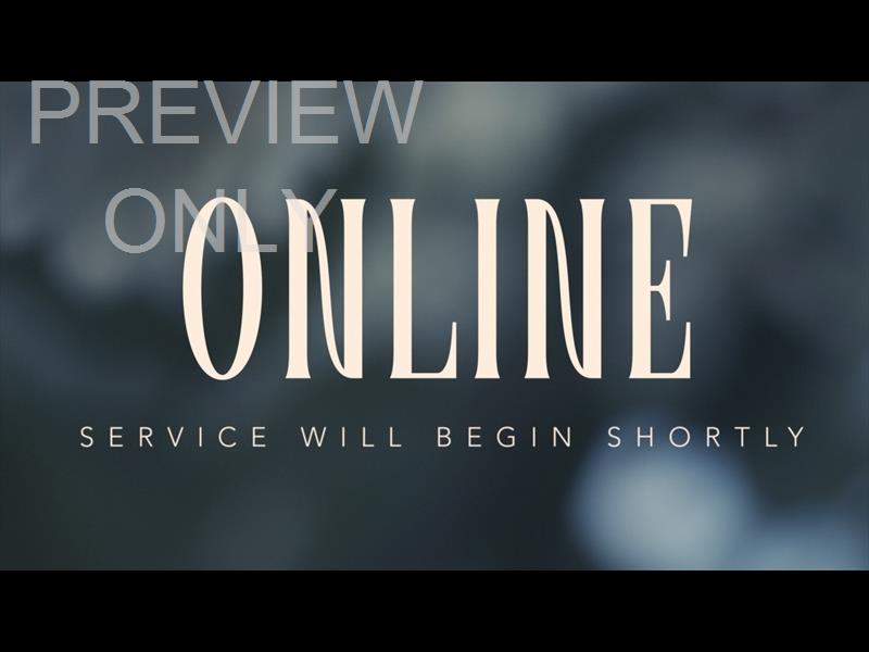 Gardenista Online Still