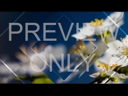 Newspring 4 Graphic