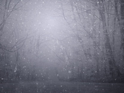 Snow 4
