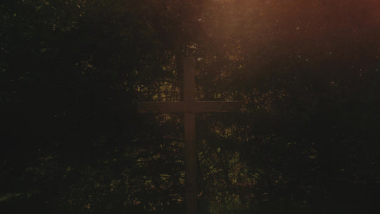 Cross 9 Alt Still