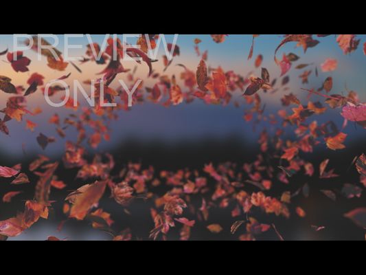 Harvest Still 09