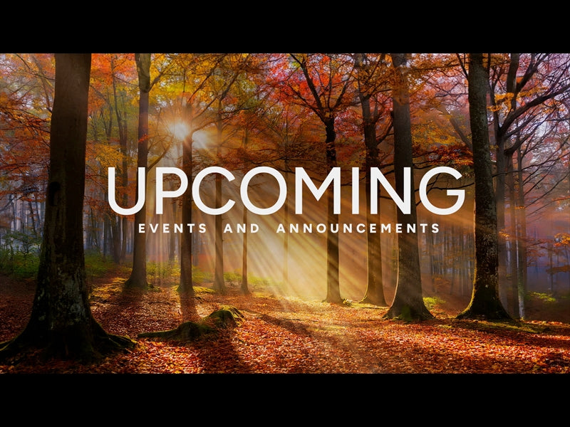 Autumn Light Upcoming