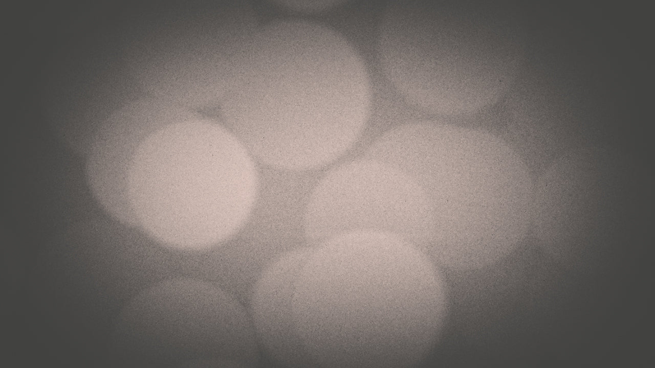 Grayscale Bokeh 03 Still