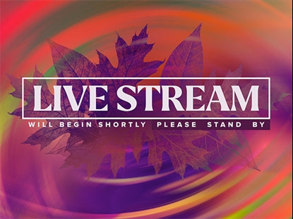 Fall Vibes Live Stream