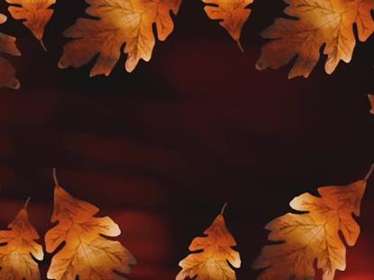 Autumn Glow Motion 1