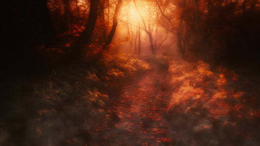 Autumn Path 6 Still