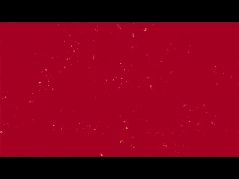 The Joy Of Christmas Red Loop