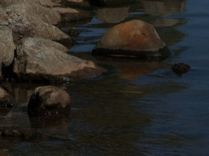 Water Motion 3