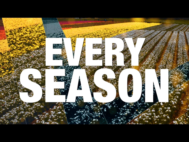 Every Season