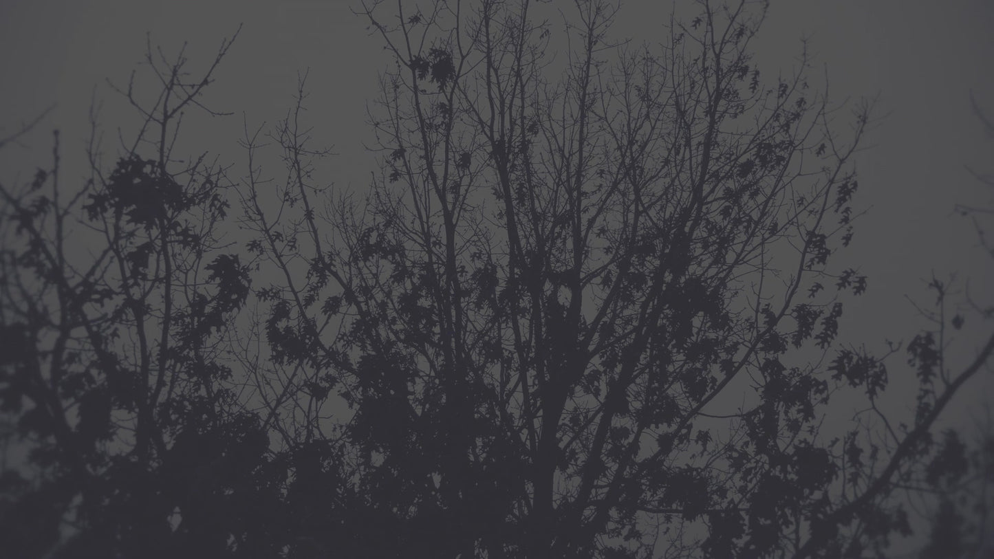 Bleak Beauty Tree Fade Still