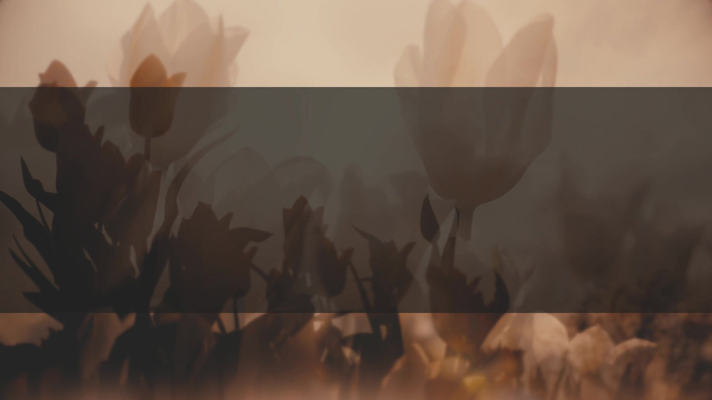 Muted Spring Tulips Box