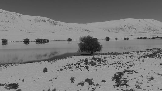 Winter Expanse 4 Alt Still