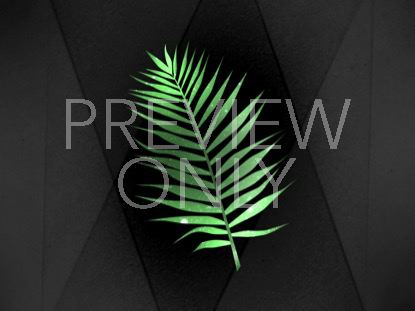 Palm Leaf 1 Still