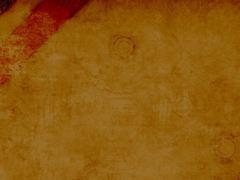 Organic Texture 5