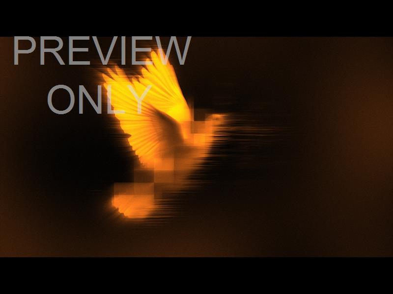 Holy Spirit Still 03