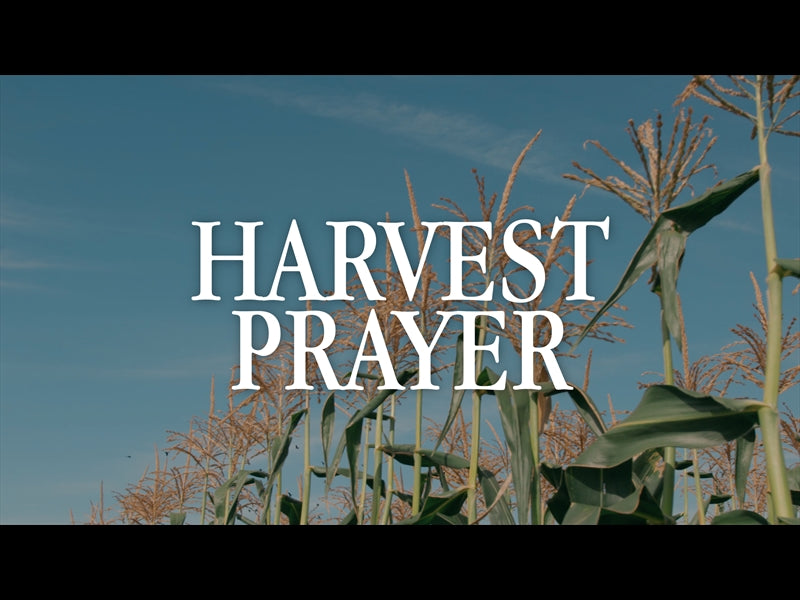 Harvest Prayer