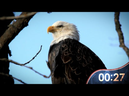 Epic Patriotic Countdown Usa