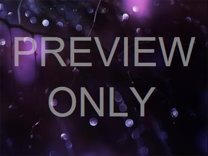 Winter Frost 10 Still