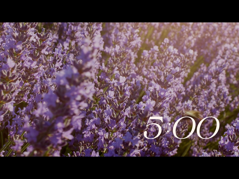 Flower Garden Countdown 02