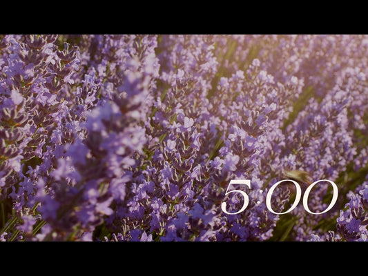 Flower Garden Countdown 02