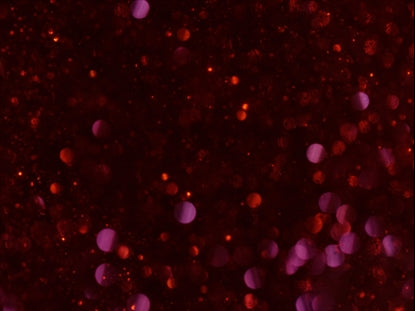 Snowglobe Red Pink Flow