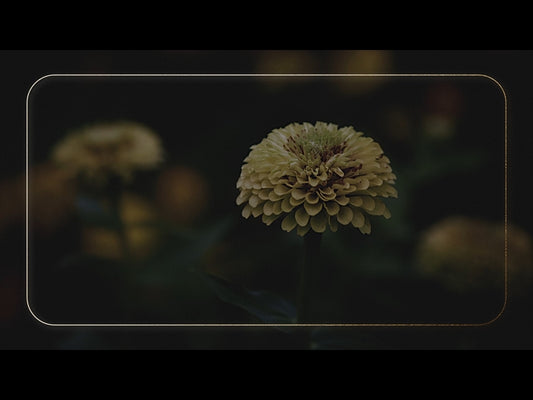 Ebony Floral: Loop 01