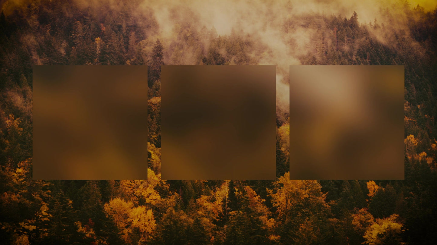 Autumn Colors Misty Alt