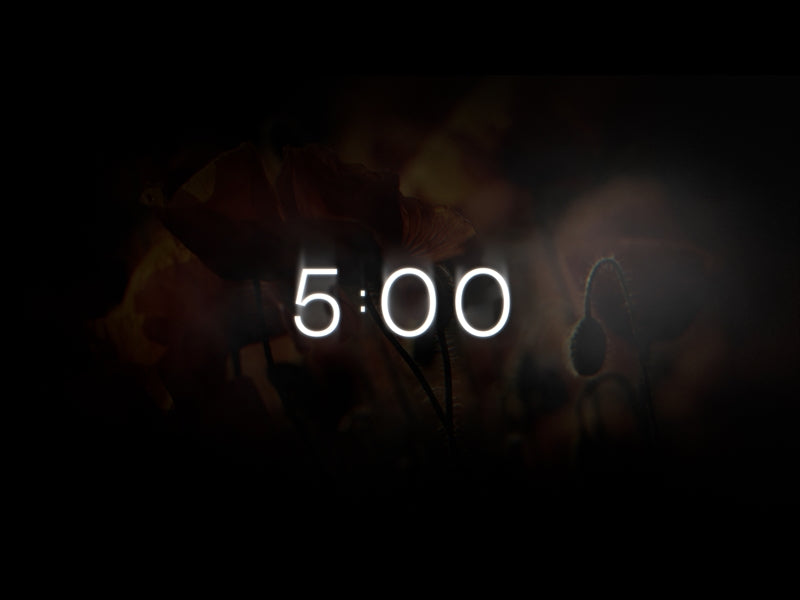 Honor Countdown 03