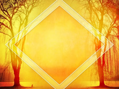 Autumn Forest 1 Motion