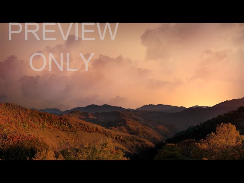 Wilderness Fall 2 Still