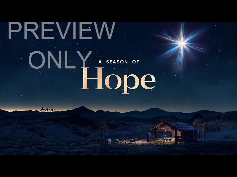 Christmas Promise Hope Still