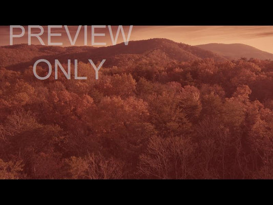 Epic Autumn Aerial Vivid Warm